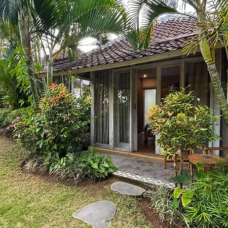Villa Alisha Canggu