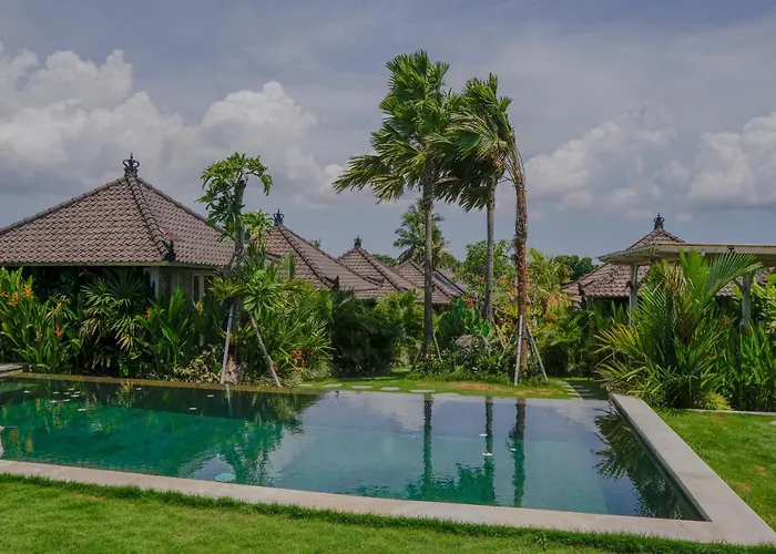 Alisha Guest house 3*