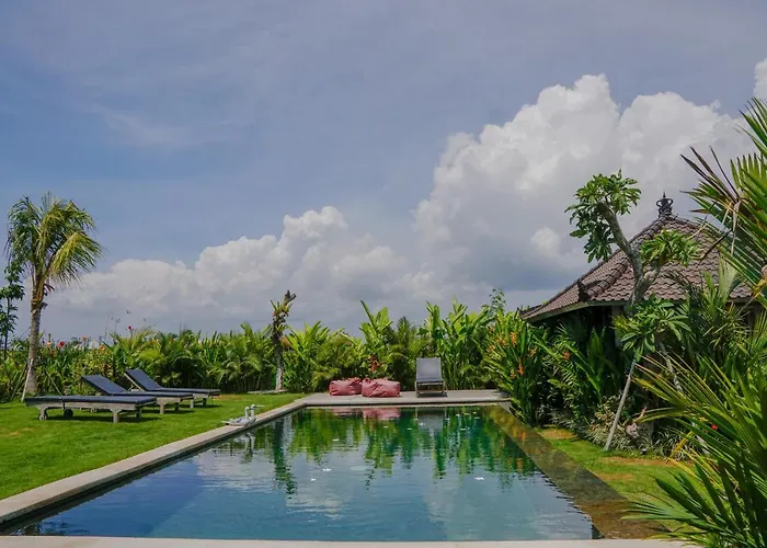 Alisha Guest house