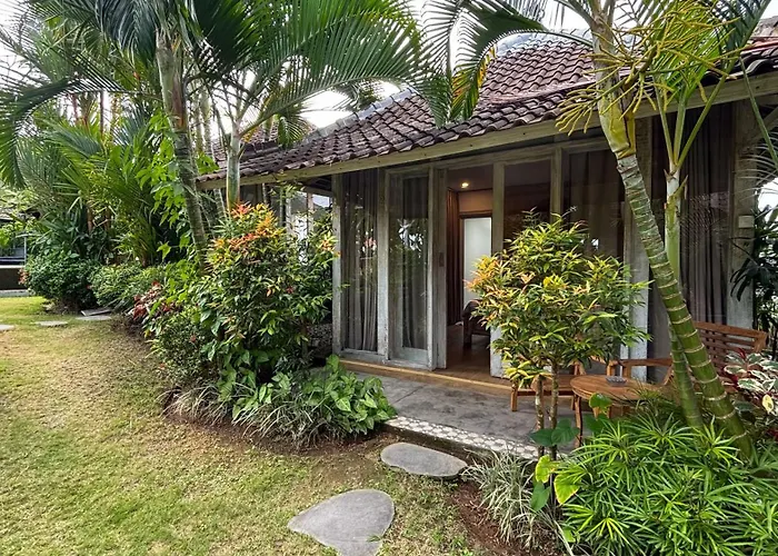 Alisha 3* Canggu (Bali)