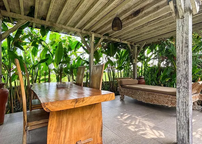 Alisha Guest house