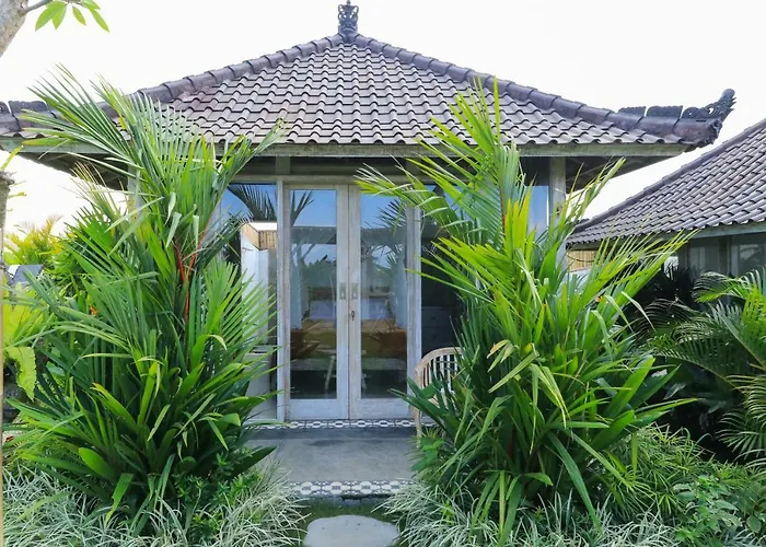 Guest house Alisha 3*